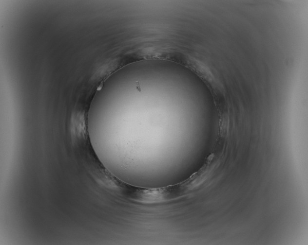 X0000114430335200910161340