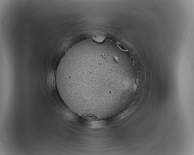 X0000114430336200910161340