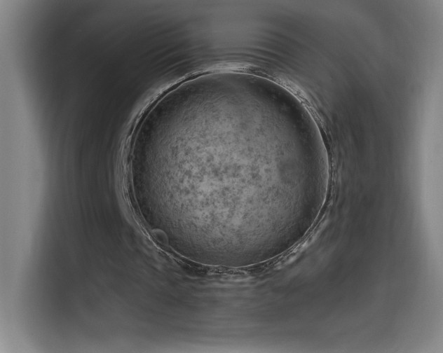 X0000114430337200910161339