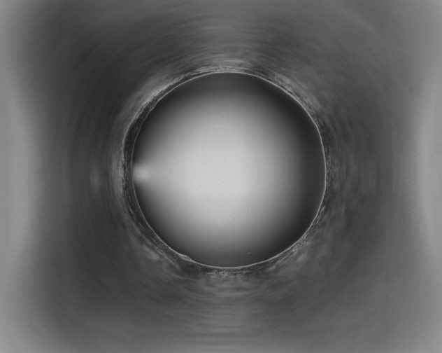 X0000114430338200910161339
