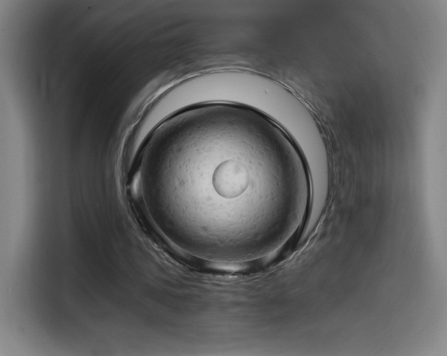 X0000114430339200910161339