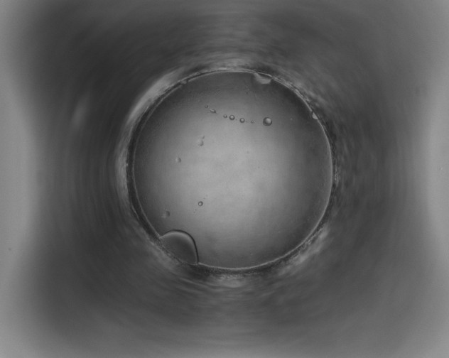 X0000114430341200910161339
