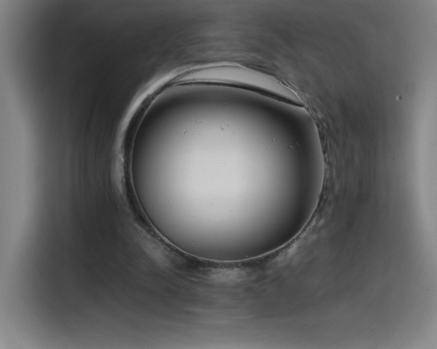 X0000114430342200910161339
