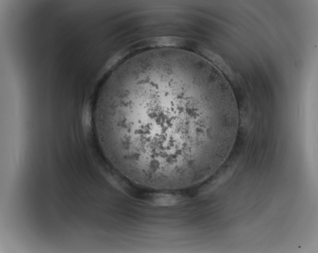 X0000114430347200910161339