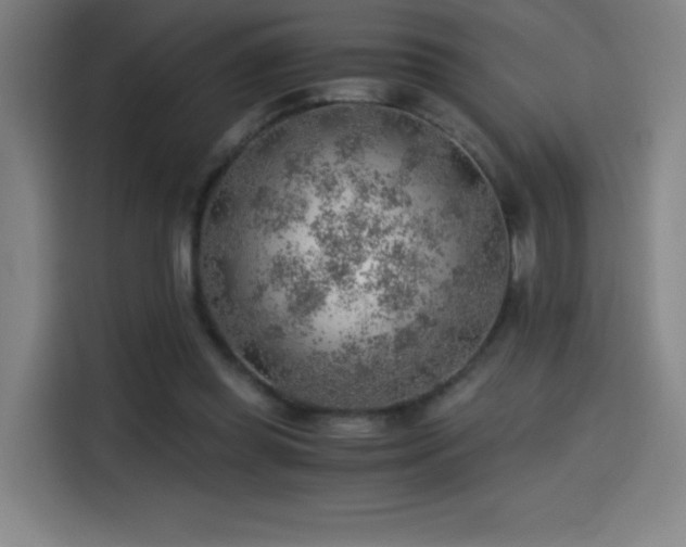 X0000114430349200910161339
