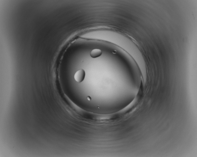 X0000114430350200910161339