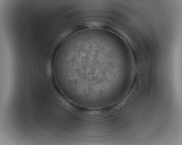 X0000114430353200910161340
