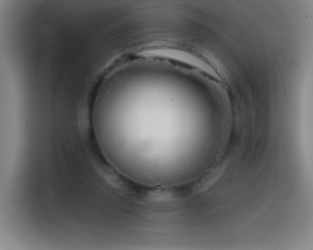 X0000114430354200910161340