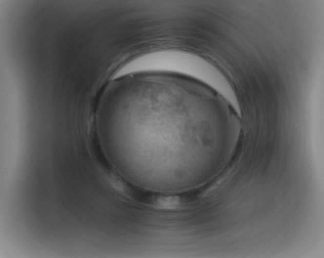X0000114430355200910161340