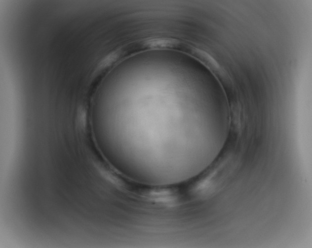 X0000114430357200910161340