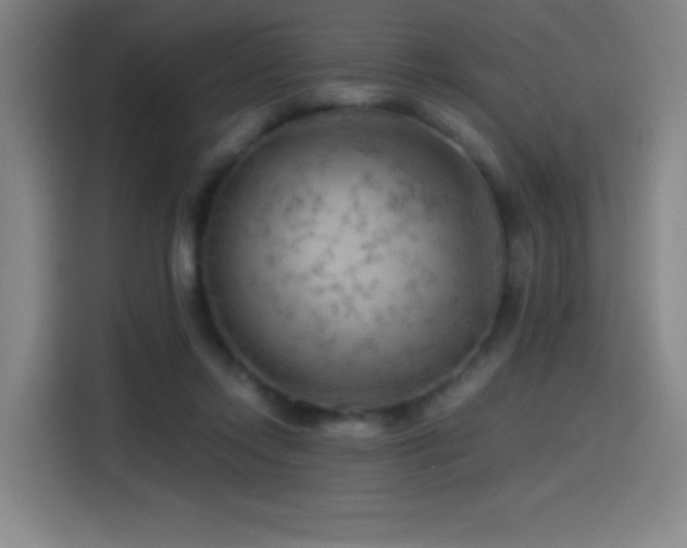 X0000114430358200910161340