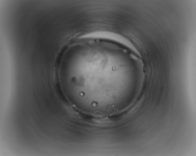 X0000114430359200910161340