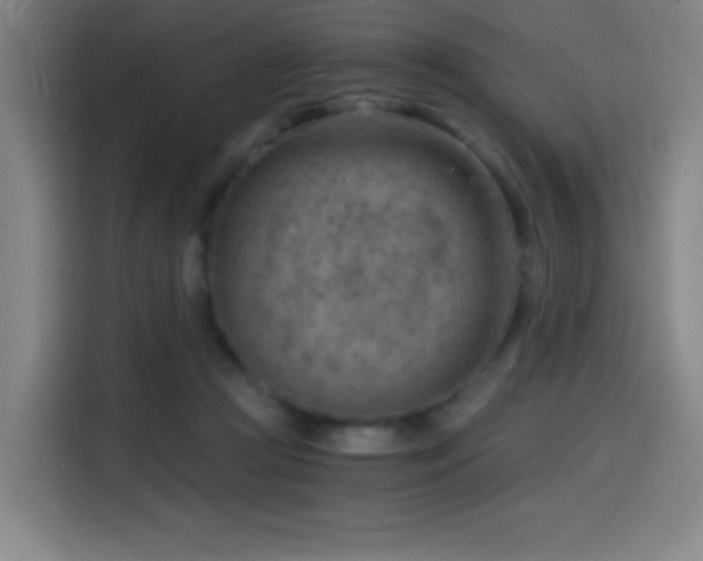 X0000114430361200910161340