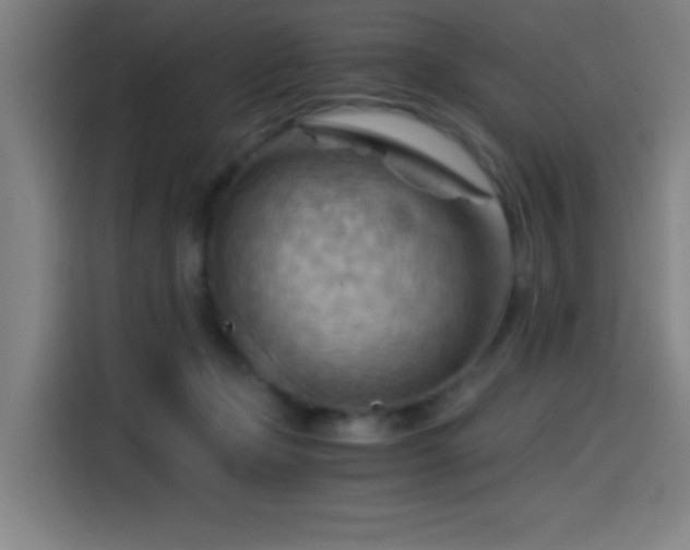 X0000114430365200910161340
