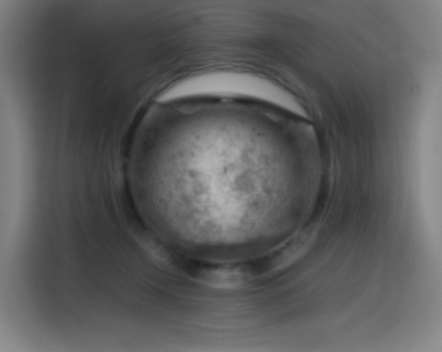 X0000114430366200910161340