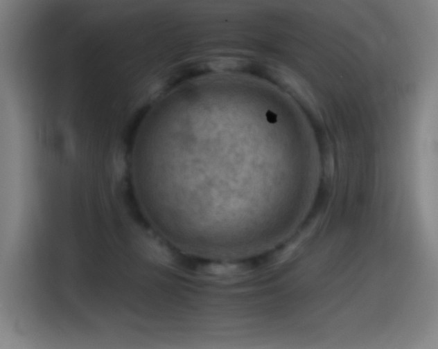 X0000114430367200910161340