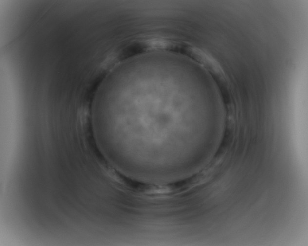 X0000114430369200910161340