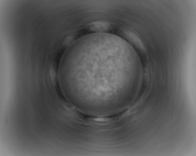 X0000114430371200910161340