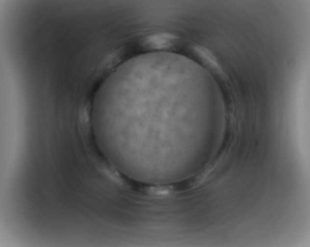 X0000114430373200910161340