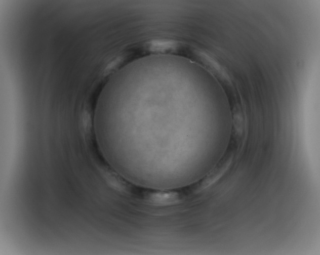 X0000114430375200910161340