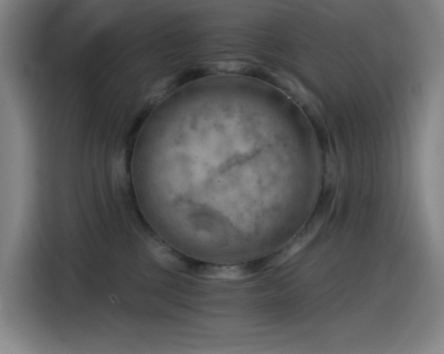 X0000114430377200910161340