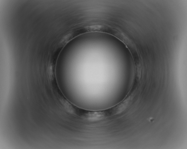 X0000114430378200910161340
