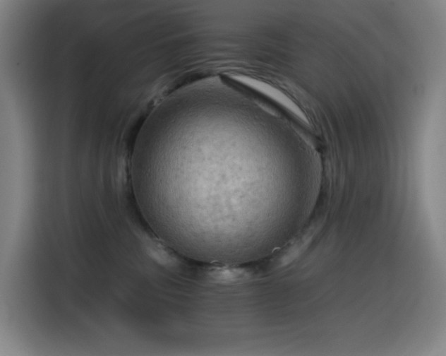 X0000114430379200910161340