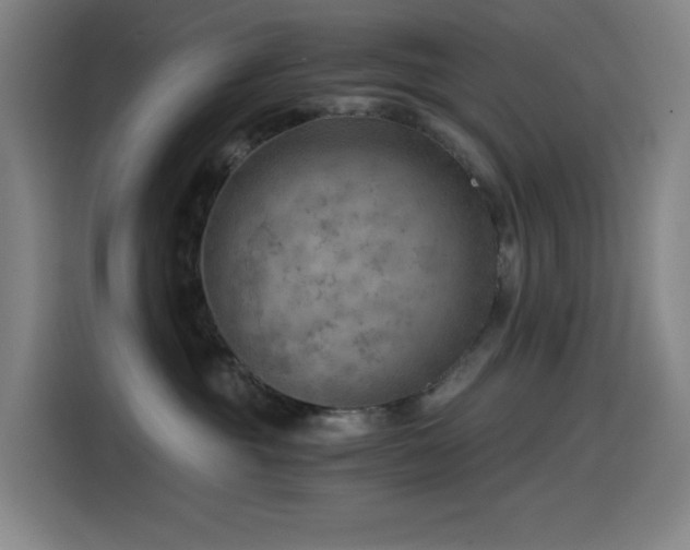 X0000114430381200910161340