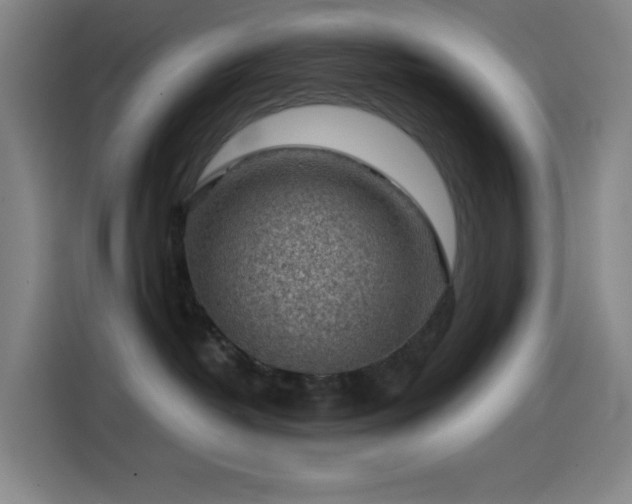 X0000114430382200910161340