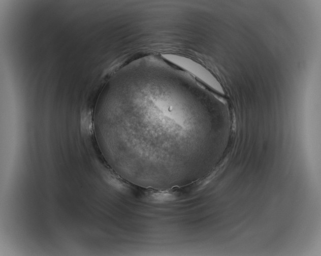 X0000114430383200910161340