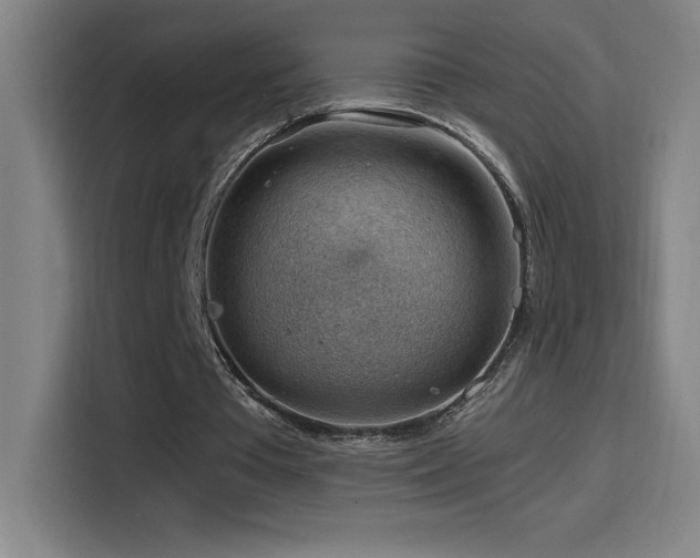 X0000114430385200910161339