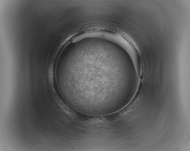 X0000114430386200910161339