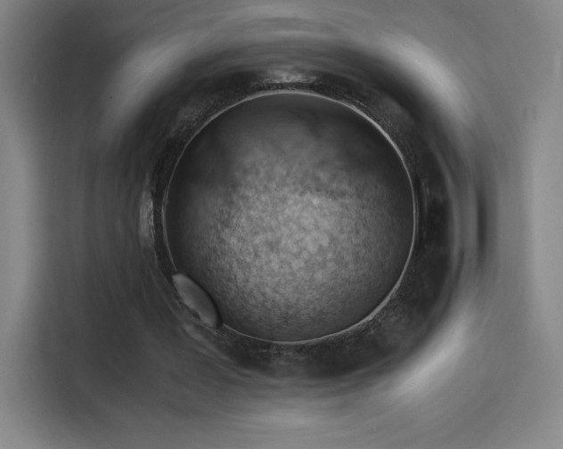 X0000114430387200910161339
