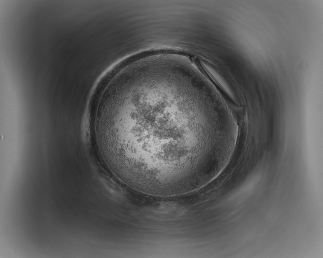 X0000114430388200910161339