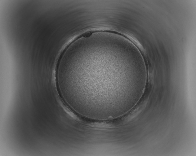 X0000114430389200910161339