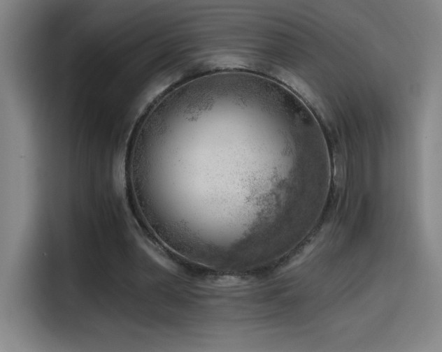 X0000114430390200910161339