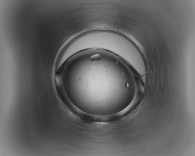 X0000114430391200910161339