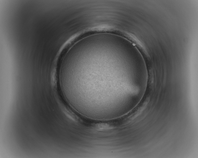 X0000114430392200910161339