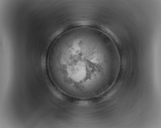 X0000114430394200910161339