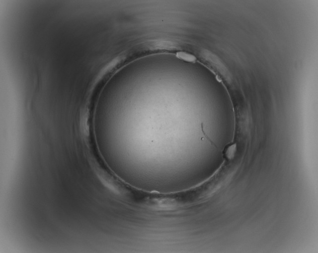 X0000114430395200910161339