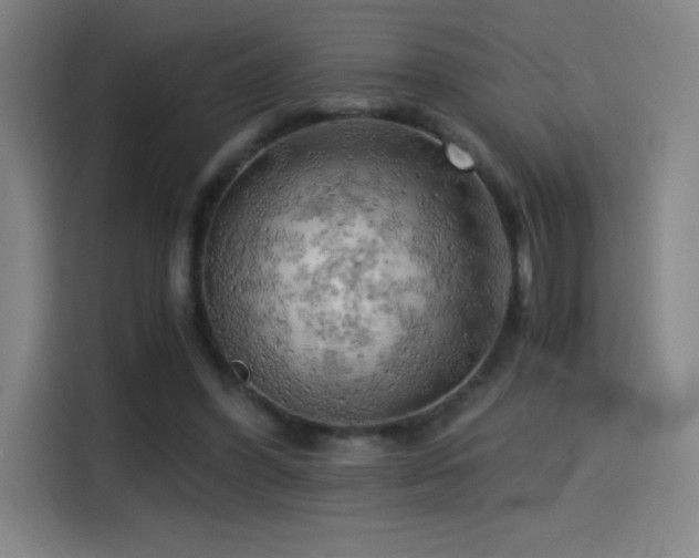X0000114430396200910161339