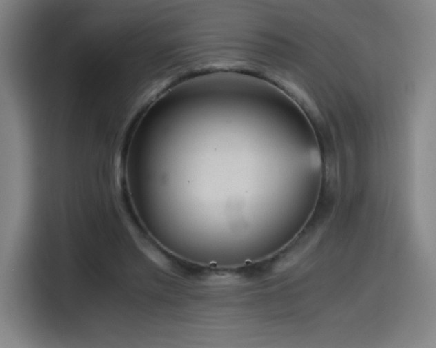 X0000114430397200910161339