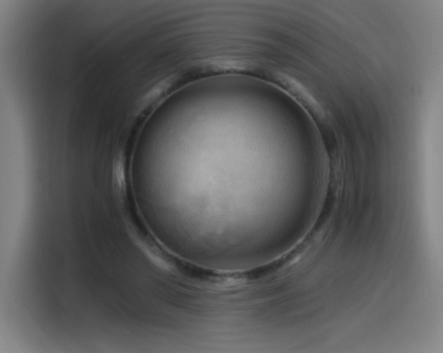 X0000114430398200910161339
