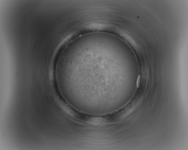 X0000114430399200910161339