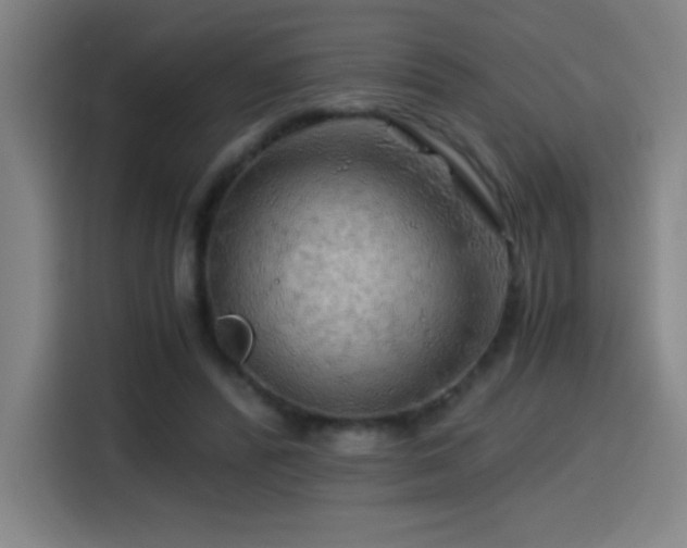 X0000114430400200910161339