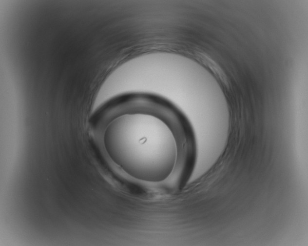 X0000114430401200910161339