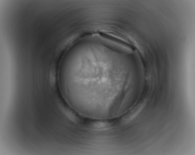 X0000114430402200910161339