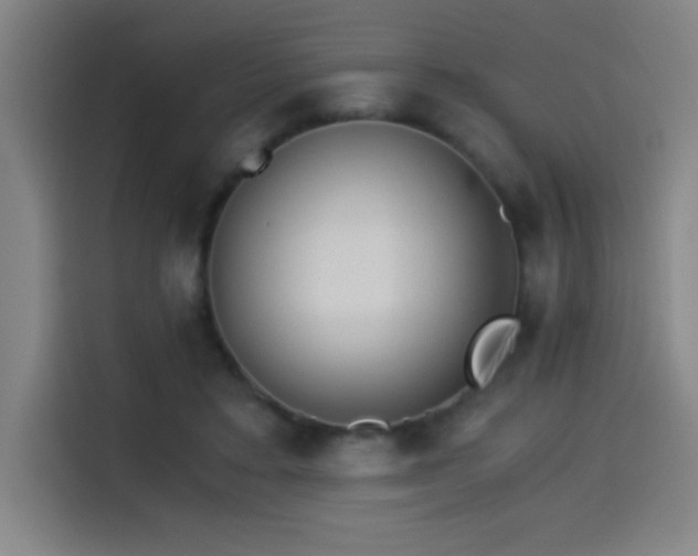 X0000114430403200910161339