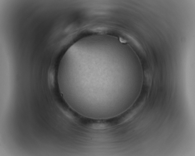 X0000114430404200910161339