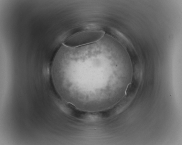 X0000114430405200910161339